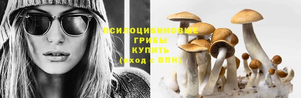 прущая мука Няндома