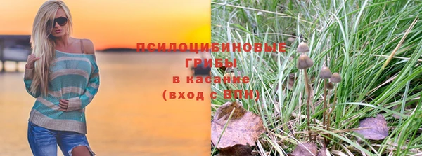 прущая мука Няндома